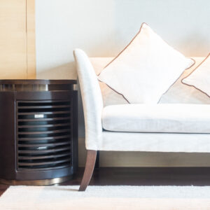 Air Purifiers and Ventilation Systems