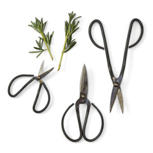 Herb Scissors
